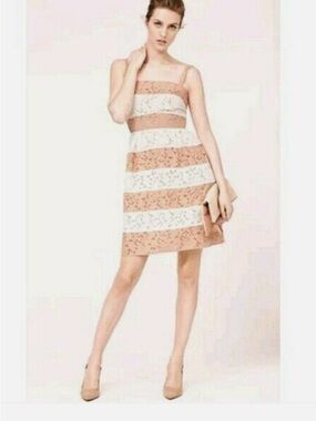 LOFT Blush and White Striped Lace Mini Dress